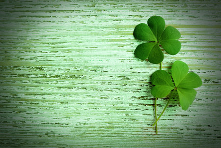 Clover leaves on light green wooden table, flat lay with space for text. St. Patrick's Day symbolの写真素材