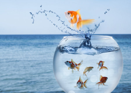 Goldfish jumping out of water and beautiful seascape on backgroundの写真素材
