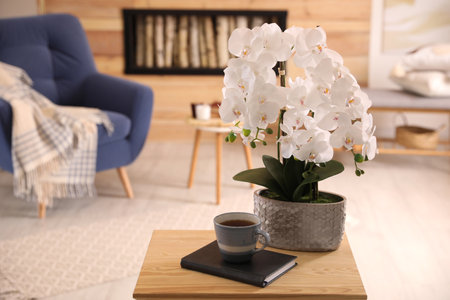 Beautiful white orchids and cup of tea on wooden table in living room. interior designの写真素材