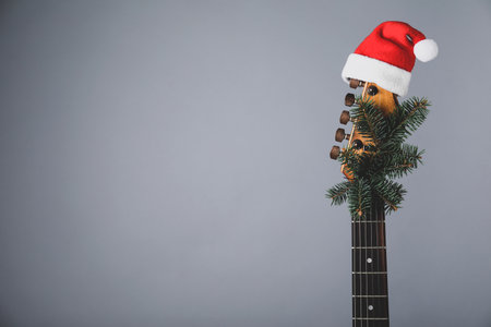 Guitar with Santa hat and fir tree branch on gray background, space for text. christmas musicの写真素材