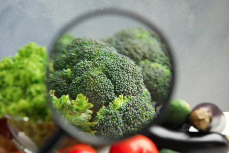 View through magnifying glass on broccoli, closeup. Poison detectionの写真素材