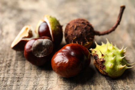 Horse chestnuts on wooden table, closeup viewの写真素材