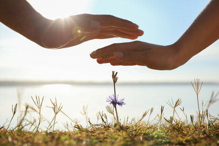 Couple holding hands over blooming flower outdoors, closeup. nature healing powerの写真素材