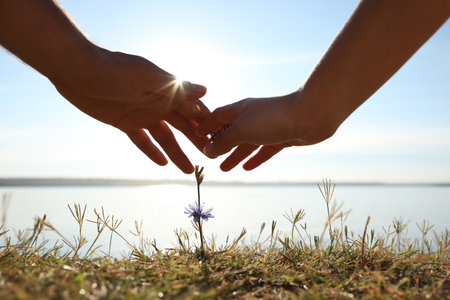 Couple holding hands over blooming flower outdoors, closeup. nature healing powerの写真素材