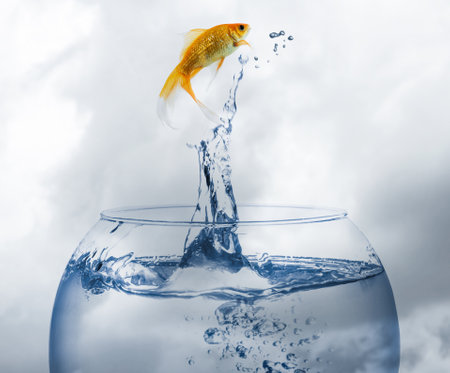 Beautiful goldfish jumping out of water against cloudy skyの写真素材