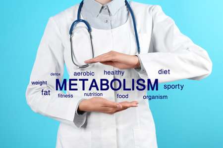 Metabolism concept. Doctor presenting scheme on blue background, closeupの写真素材