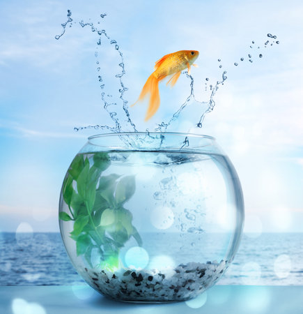 Goldfish jumping out of water and beautiful seascape on backgroundの写真素材