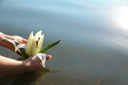 Woman putting flower on water surface, closeup. nature healing powerの写真素材