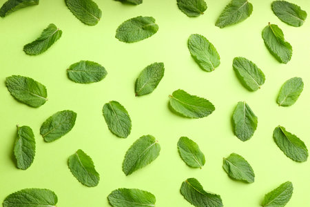 Fresh mint on green background, flat layの写真素材