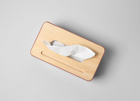 Holder with paper tissues on light gray background, top viewの写真素材