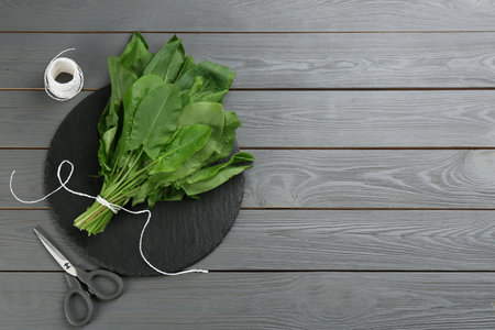 Fresh green sorrel leaves, scissors and thread on gray wooden table, flat lay. Space for textの写真素材