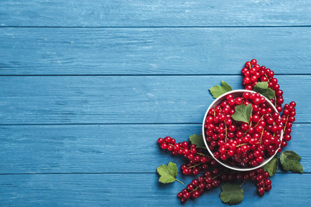 Delicious red currants and leaves on blue wooden table, flat lay. Space for text
