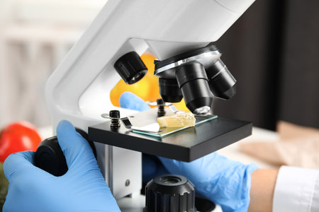 Scientist inspecting slice of lemon with microscope in laboratory, closeup. Poison detectionの写真素材