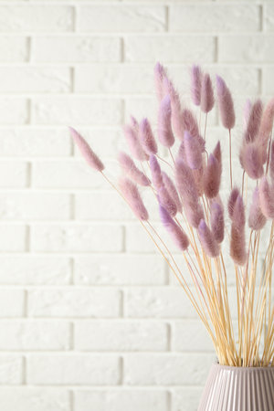 Dried flowers in vase against white brick wallの写真素材
