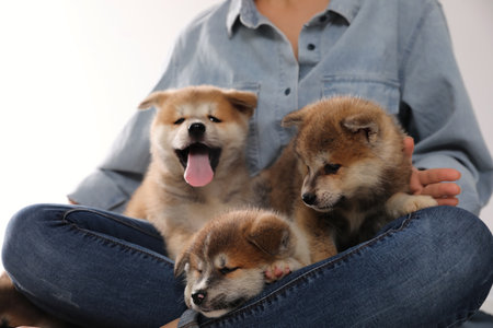 Woman with Akita Inu puppies sitting against light background, closeupの写真素材