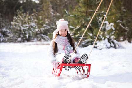 Cute little girl enjoying sleigh ride outdoors on winter dayの写真素材