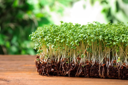 Fresh organic microgreens on wooden table, closeup view