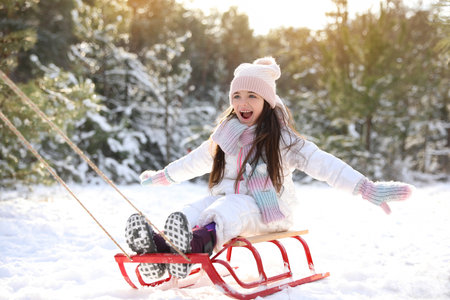 Cute little girl enjoying sleigh ride outdoors on winter dayの写真素材