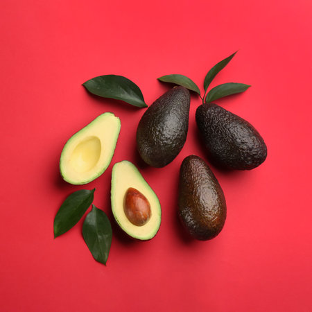 Whole and cut ripe avocadoes with green leaves on red background, flat layの写真素材