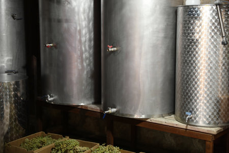 Steel tanks for wine fermentation and fresh grapes at factory