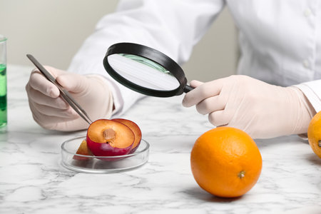 Scientist with magnifying glass exploring plum in laboratory, closeup. Poison detectionの写真素材