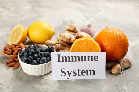 Card with phrase Immune System and fresh products on light marble backgroundの写真素材