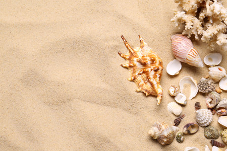 Beautiful seashells, coral and starfishes on beach sand, flat lay with space for text. summer...