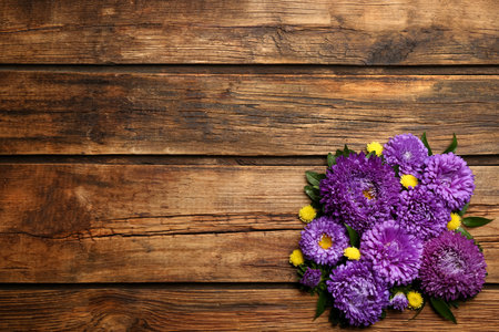 Beautiful asters and space for text on wooden background, flat lay. autumn flowersの写真素材
