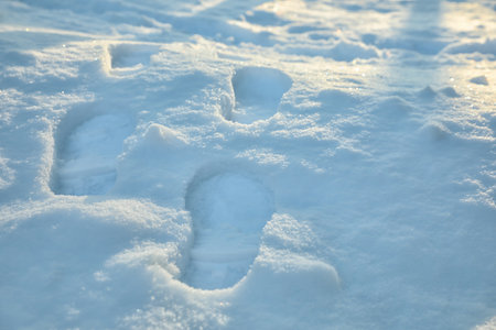 Footprints on white snow outdoors. winter seasonの写真素材