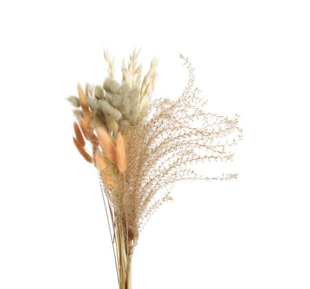 Bouquet of dried flowers on white backgroundの写真素材