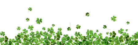 Fresh green clover leaves on white background, banner design. St. Patrick's Dayの写真素材