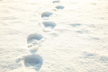 Footprints on white snow outdoors. winter seasonの写真素材