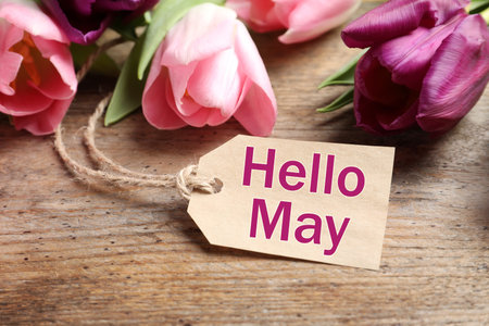 Beautiful spring tulips and label with text Hello May on wooden backgroundの写真素材