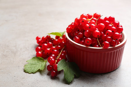 Delicious red currants and leaves on light gray tableの写真素材