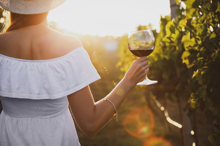 Young woman with glass of wine in vineyard on sunny day, back viewの写真素材