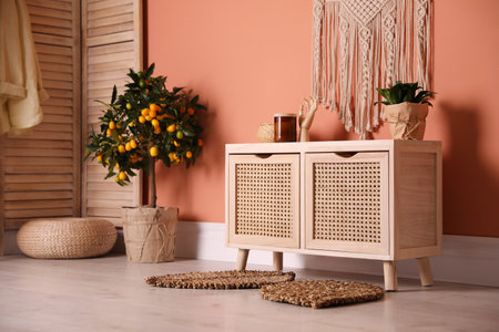 Wooden commode near coral wall in room. interior designの写真素材