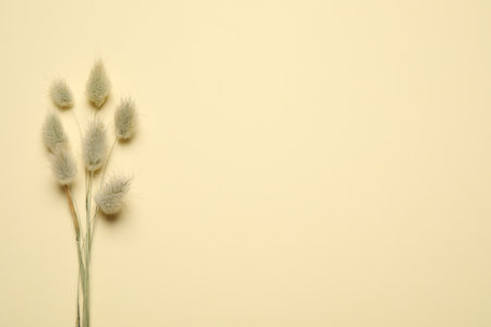 Bouquet of dried flowers on beige background, flat lay. Space for text