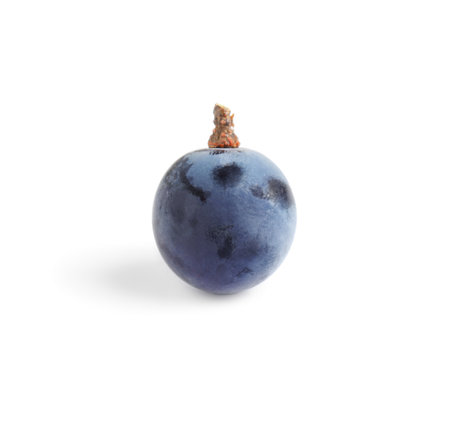 Delicious ripe dark blue grape isolated on whiteの写真素材