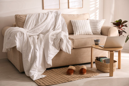 Comfortable sofa with blanket in stylish roomの写真素材
