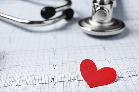 Red paper heart and stethoscope on cardiogram report, closeupの写真素材