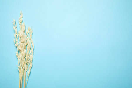 Bouquet of dried flowers on light blue background, flat lay. Space for textの写真素材