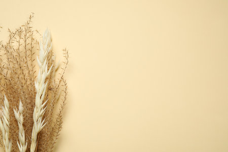Bouquet of dried flowers on beige background, flat lay. Space for textの写真素材
