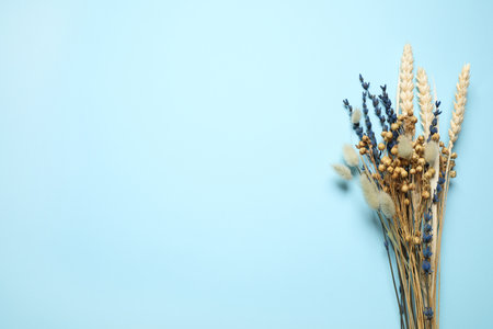 Bouquet of dried flowers on light blue background, flat lay. Space for textの写真素材
