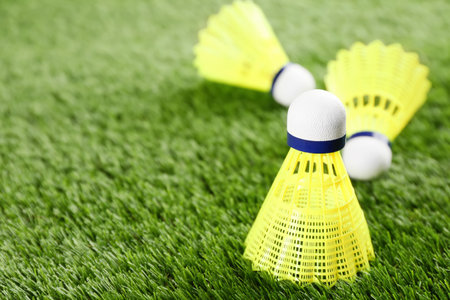 Badminton shuttlecocks on green grass outdoors, closeup. Space for textの写真素材