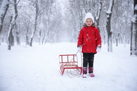 Cute little girl with sleigh outdoors on winter day, space for textの写真素材