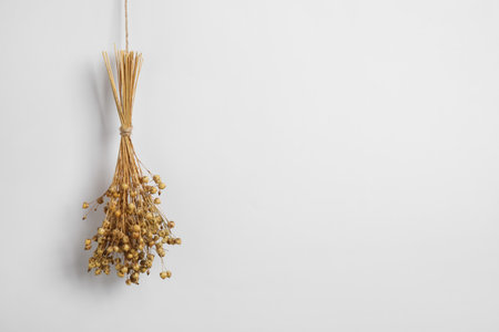 Bunch of beautiful dried flowers on white background. Space for textの写真素材