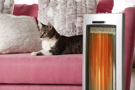 Cute cat on sofa near modern electric ultrared heater indoorsの写真素材