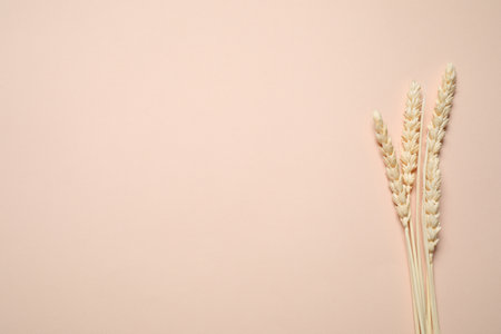 Bouquet of dried flowers on beige background, flat lay. Space for textの写真素材