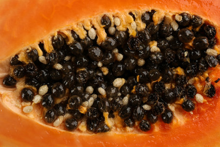 Fresh cut papaya fruit with black seeds as background, closeup viewの写真素材
