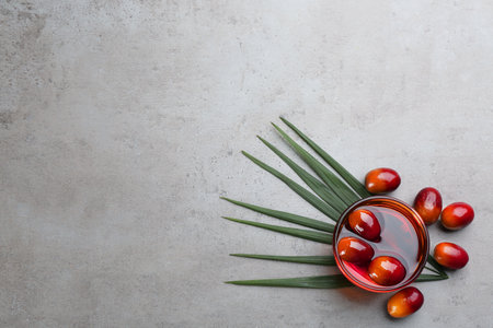 Palm oil in glass bowl with fruits and tropical leaf on gray table, flat lay. Space for textの写真素材